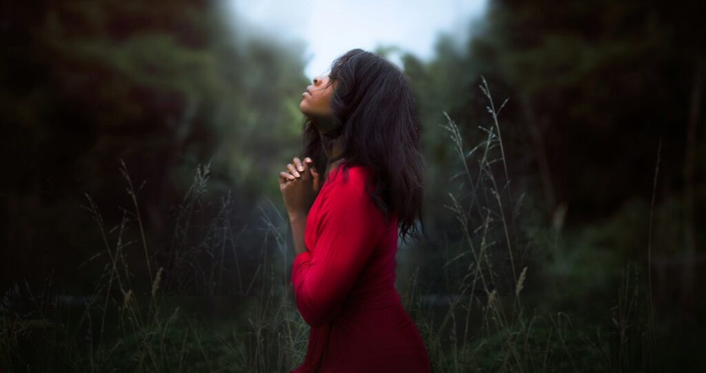 woman wearing red sweatshirt looking at top between trees near grass during daytime